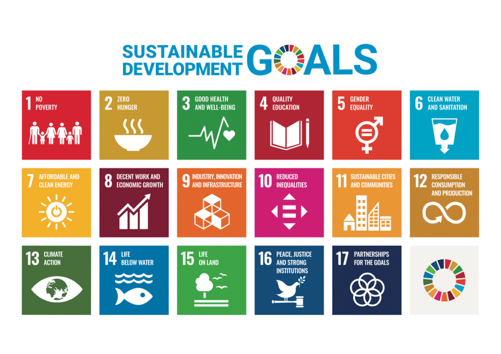 17 SDG ICONS