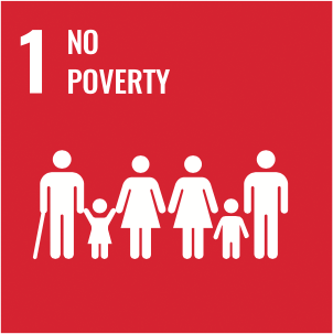 SDG ICON 1