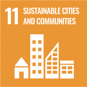 SDG ICON 11