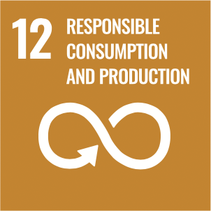 SDG ICON 12