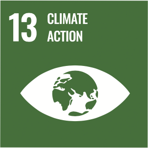 SDG ICON 13